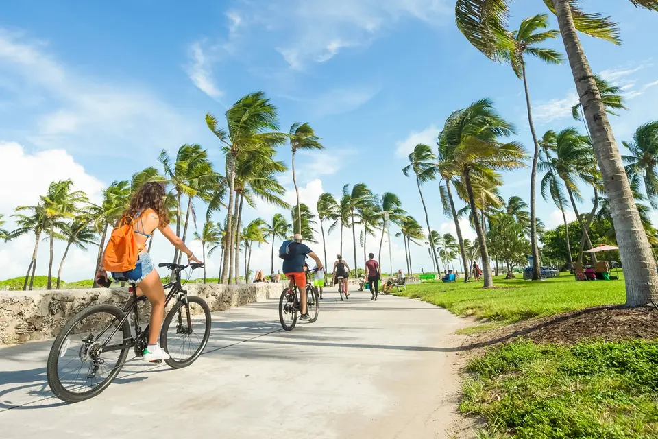 Cyclists on the palm-lined beachwalk at Lummus Park, Miami Beach